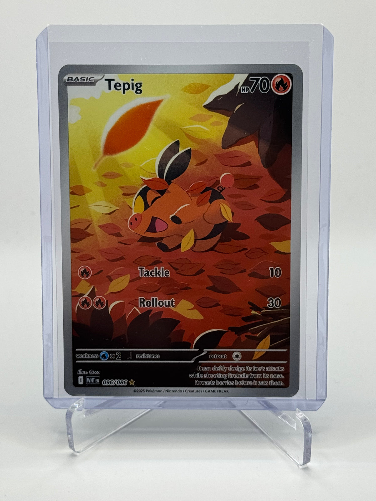 Tepig Illustration Rare