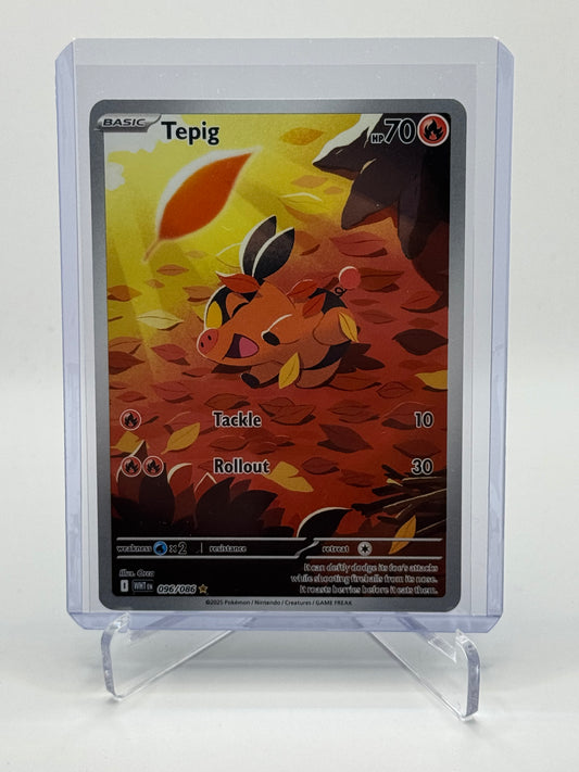 Tepig Illustration Rare
