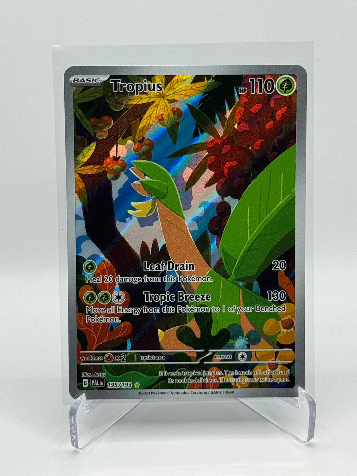 Tropius Illustration Rare