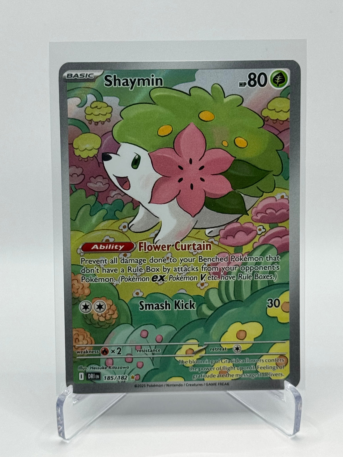 Shaymin Illustration Rare