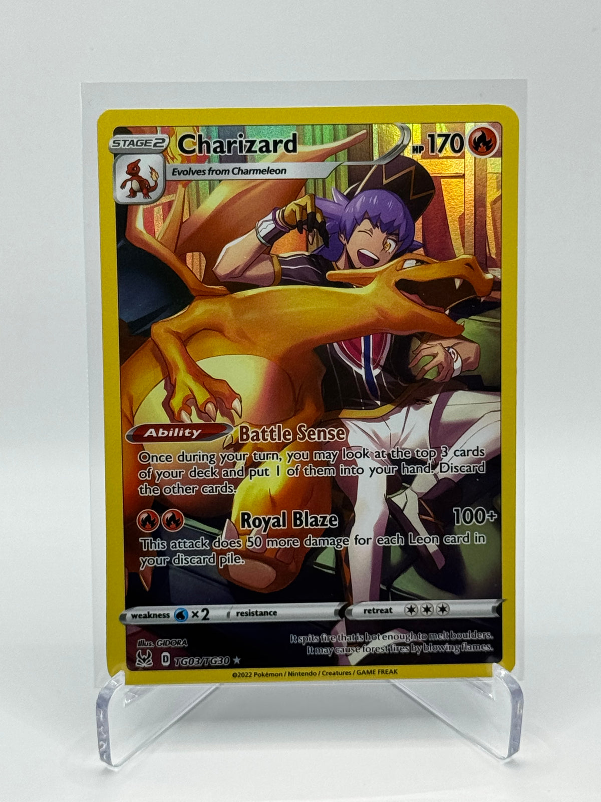 Charizard Trainer Gallery